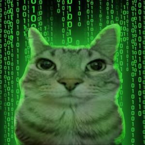 Hacker Cat