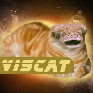 viscat_eindbeeld_VLAD_VASHCHENKO_MV1A